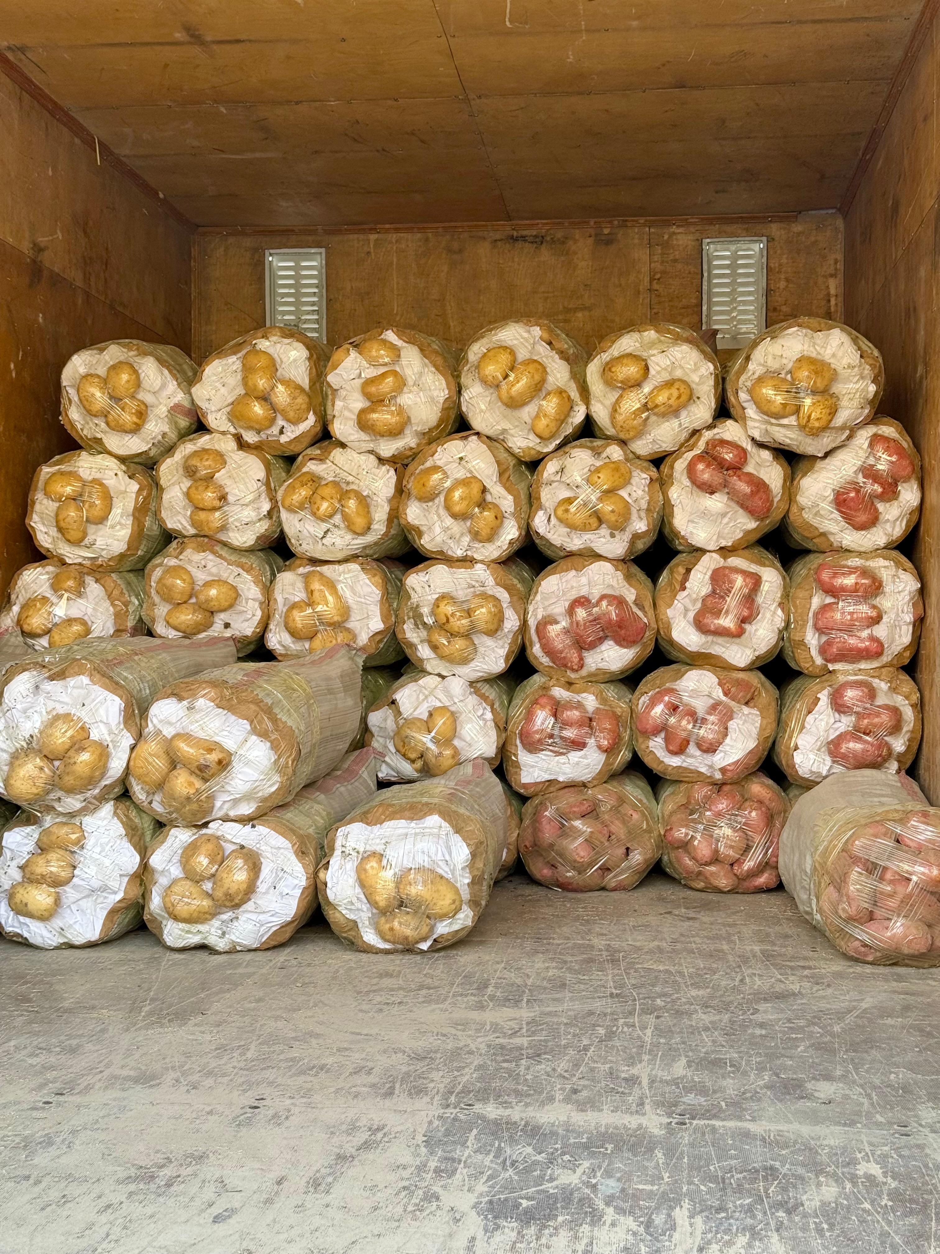 Quality potatoes from Pakistan
